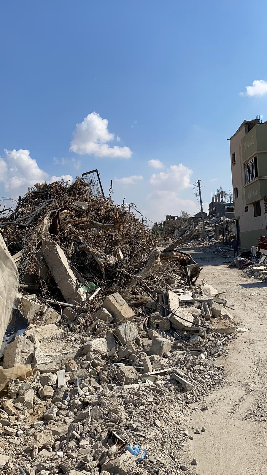 gaza